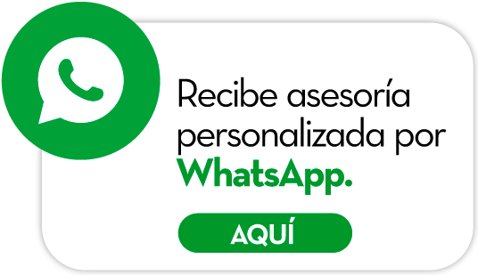 Asesoría WhatsApp